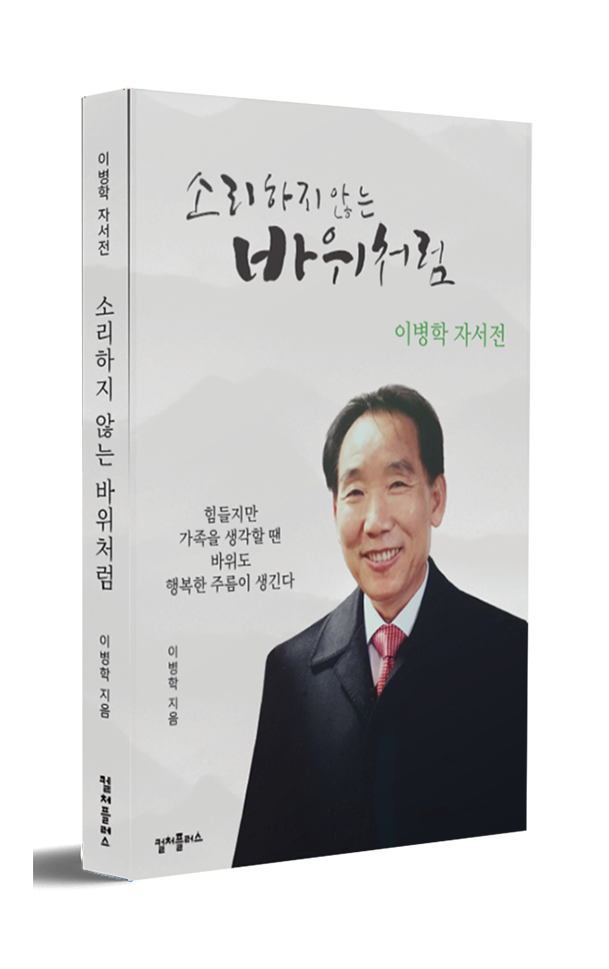 소리하지 않는 바위처럼 이병학 지음 표지